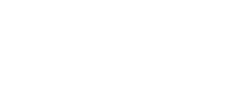 professionele website